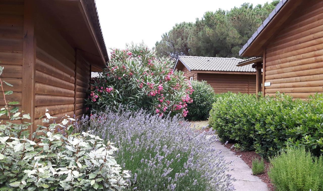Parc Residentiel Les Hauts De Baldy Agde Exterior foto